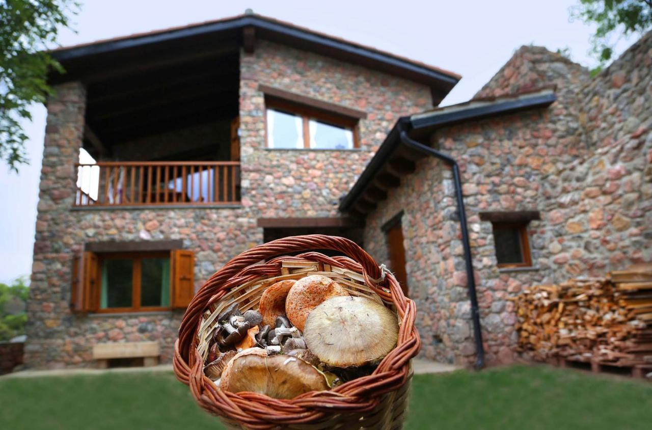 Cal Sansa Villa Cava Exterior photo